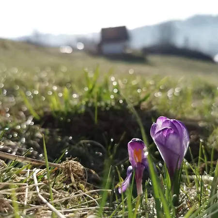 Na Ubocy- Bez Sasiadow, Widok, Jacuzzi, Sauna Chalet Biały Dunajec