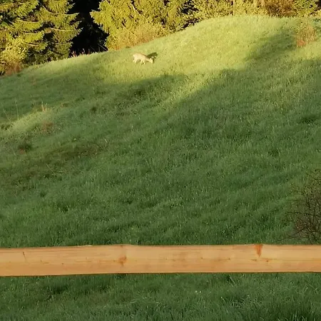 Na Ubocy Z Jacuzzi, Sauna I Widokiem