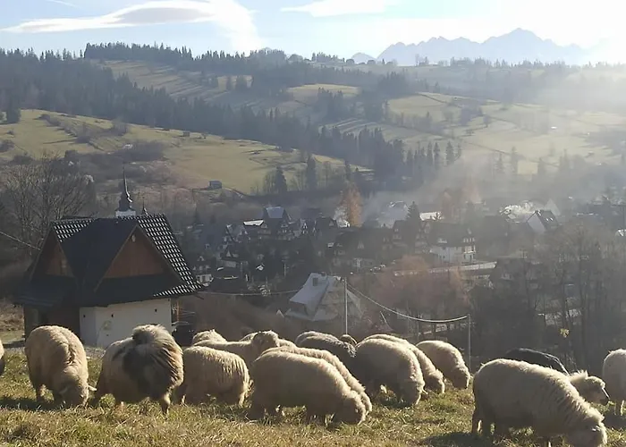 Na Ubocy Z Jacuzzi, Sauna I Widokiem