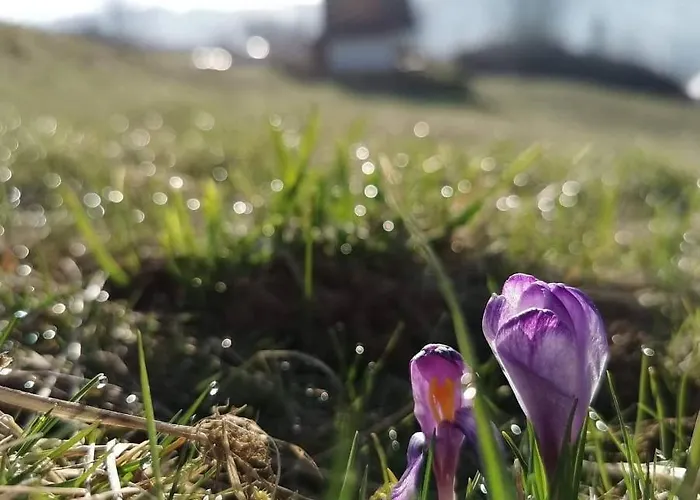 Na Ubocy Z Jacuzzi, Sauna I Widokiem Chalet Biały Dunajec