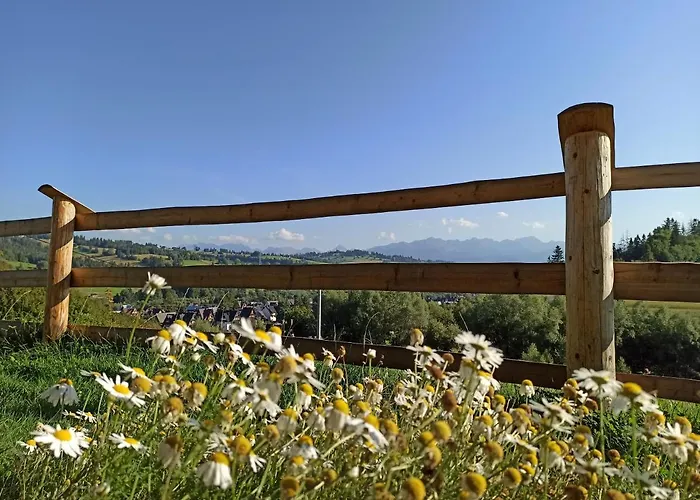 Chalet Na Ubocy Z Jacuzzi, Sauna I Widokiem